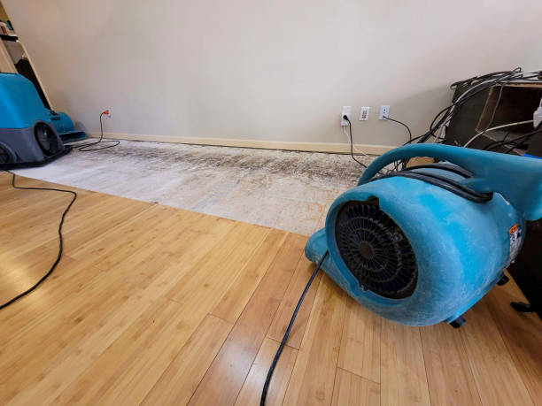 Professional Burst Pipe Water Damage technician working in Harrison, ME